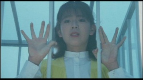 PDVD_038.jpg