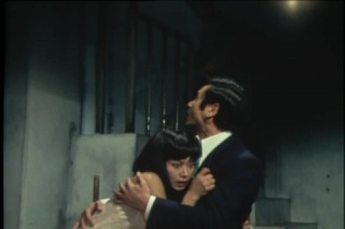 PDVD_068.jpg