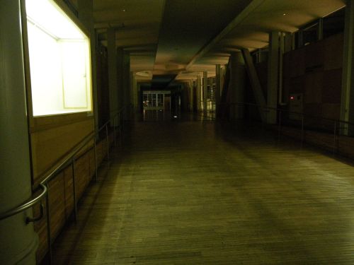 IMGP0060_compressed.jpg