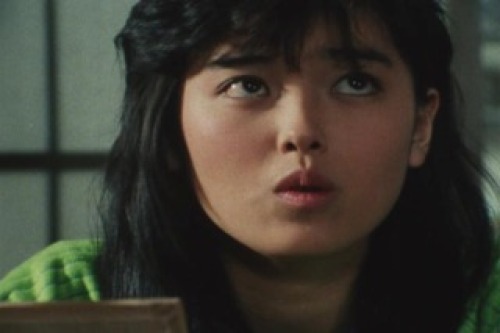 PDVD_001.jpg