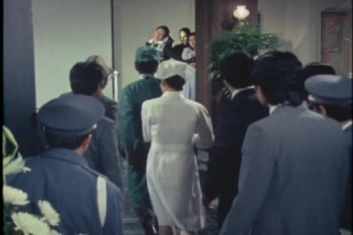 PDVD_023.jpg