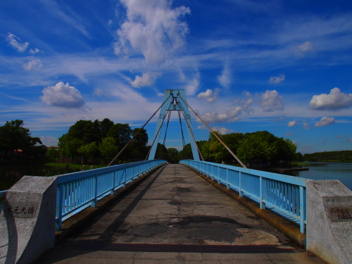 水元公園2012.9.24 043.jpg