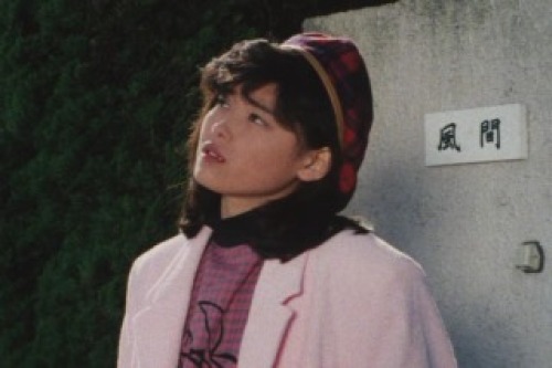 PDVD_006.jpg