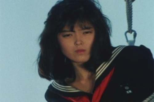 PDVD_037.jpg