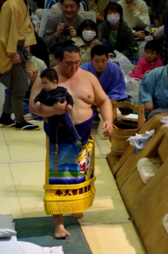 大相撲京都場所 稀勢の里 きせのさと と子供 Trek Y5 Kyoto マウンテンバイク 楽天ブログ