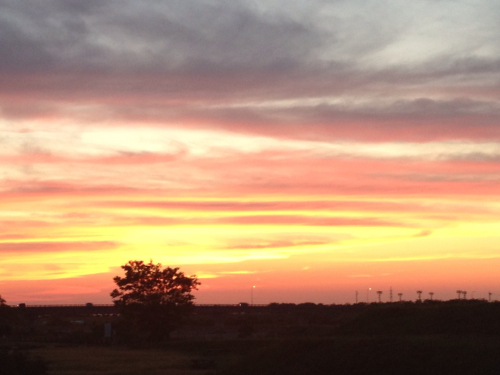 201206251734_1389_iphone.jpg