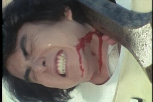 PDVD_115.jpg