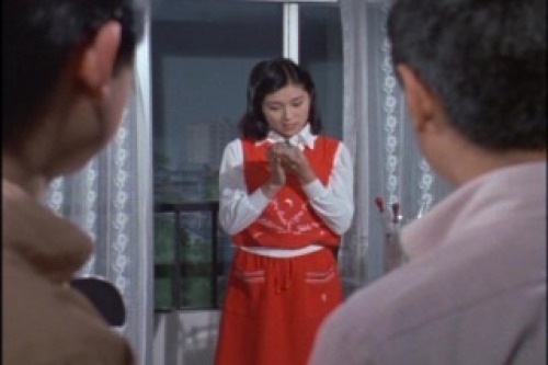 PDVD_001.jpg