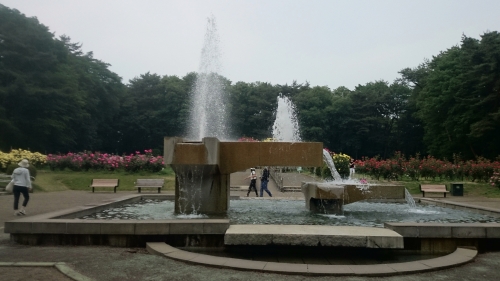 CYMERA_20160609_192509.jpg