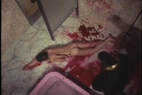 PDVD_057.jpg