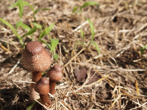 水元公園2012.9.24 056.jpg
