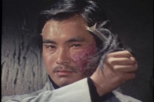 PDVD_137.jpg