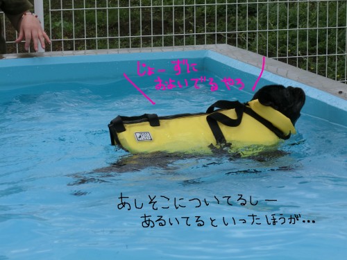 およぐ福その2.jpg