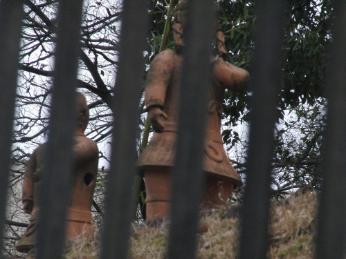 CIMG9077.JPG