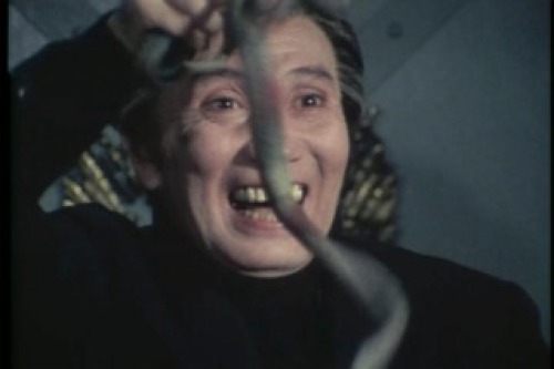 PDVD_065.jpg