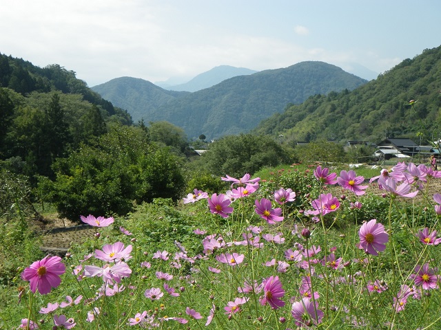 醍醐山と下部（しもべ）温泉