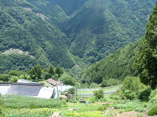P8040063.JPG