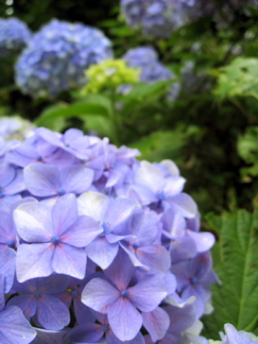 箱根フリーパスを使って箱根・芦ノ湖を観光してみた 029.jpg