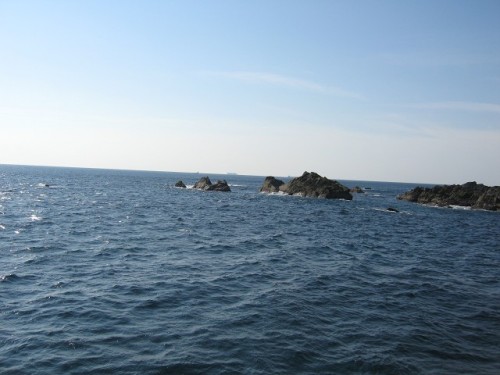 IMG_0155_640.jpg