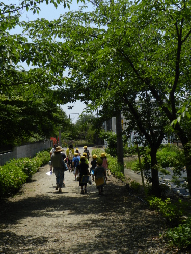DSCN9442.JPG
