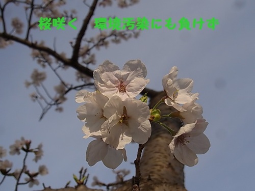 @R0011533.JPG