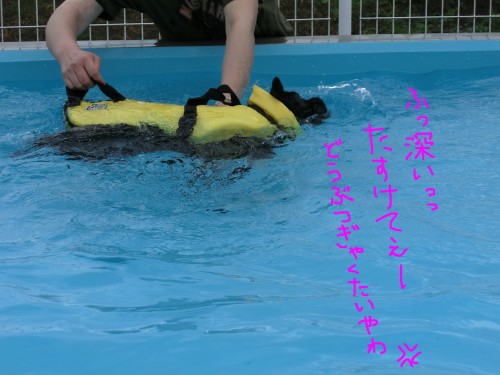 福あせる.jpg