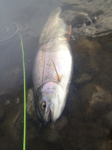201208151602_2383_iphone.jpg