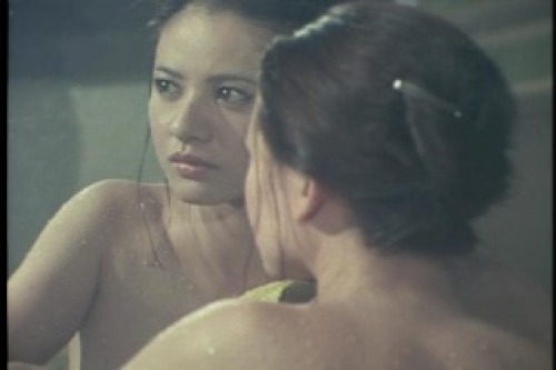 PDVD_101.jpg