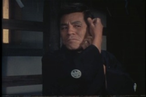 PDVD_136.jpg