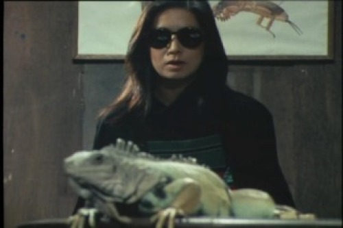 PDVD_137.jpg