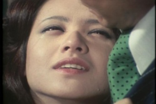 PDVD_231.jpg