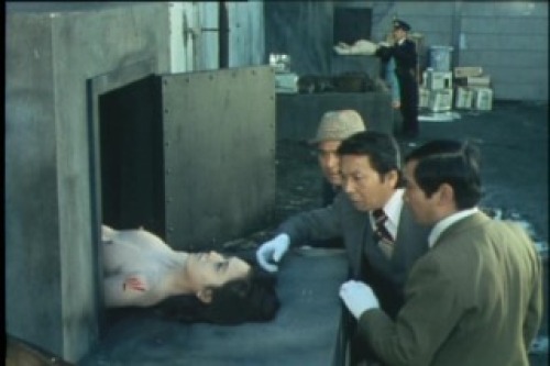 PDVD_087.jpg