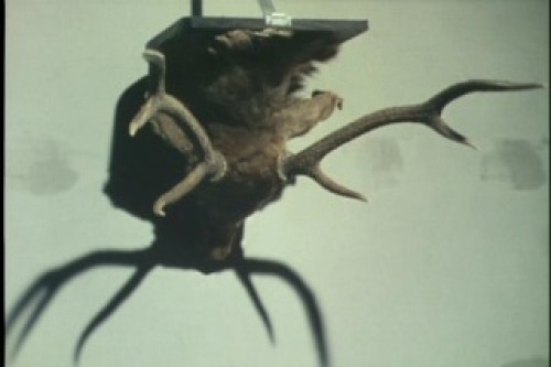 PDVD_046.jpg