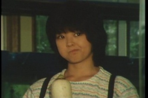 PDVD_012.jpg
