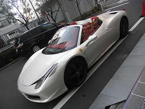 458spider-01.jpg