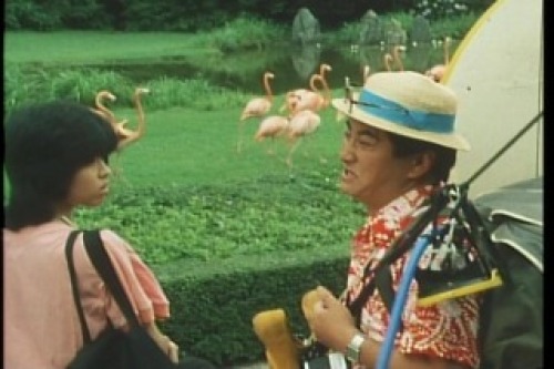 PDVD_008.jpg