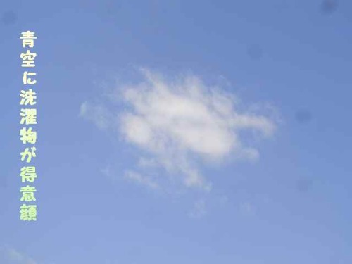 R0011618aozora@.jpg