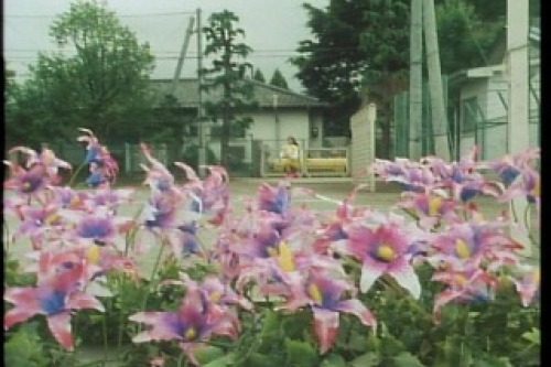 PDVD_001.jpg