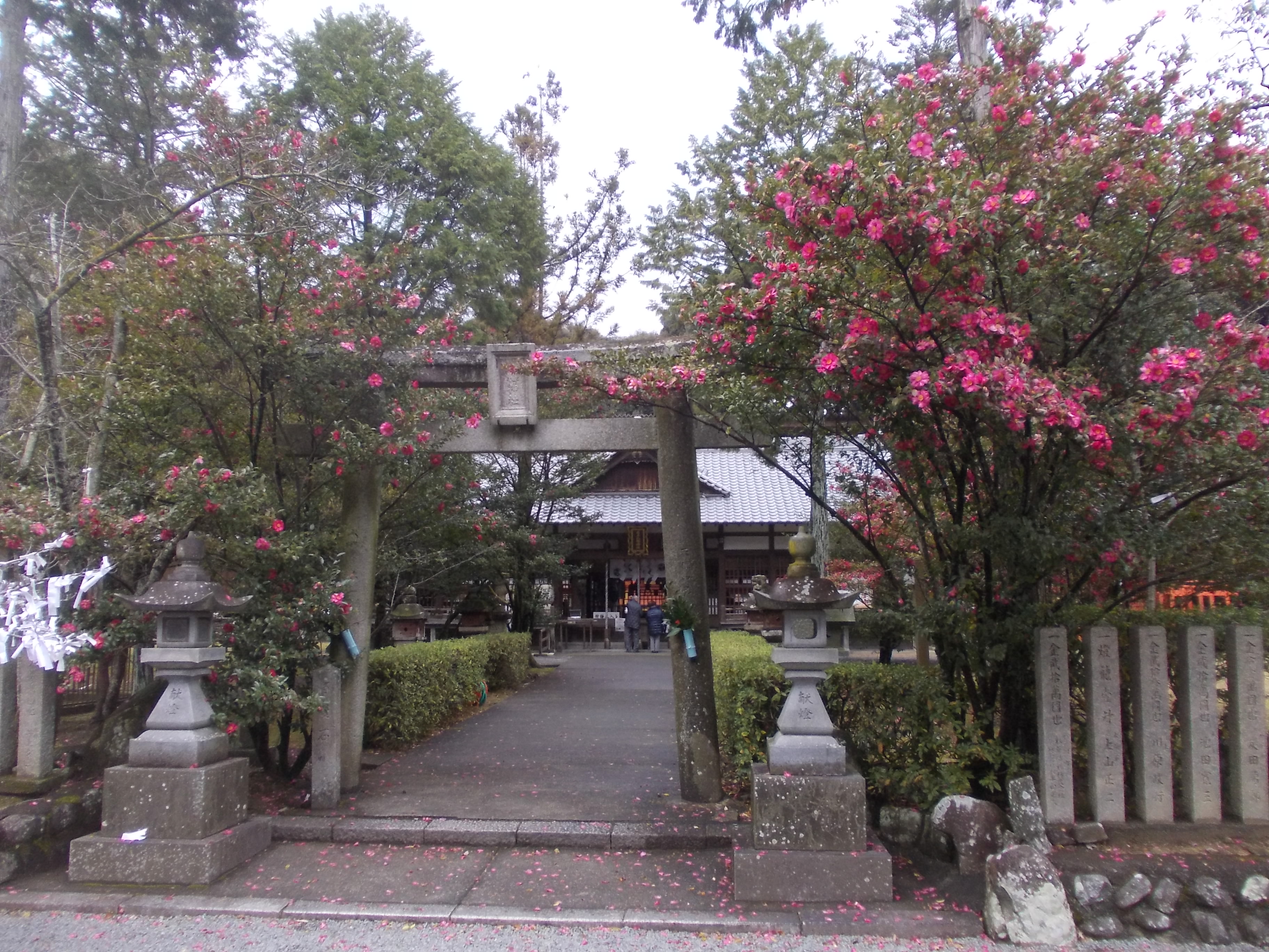 紀の川市 名手八幡神社 ノリの地元探索日記 時々ﾃﾞｼﾞｶﾒ侍ﾉﾘの進 楽天ブログ