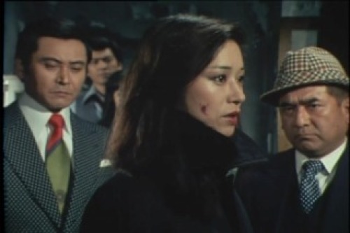 PDVD_171.jpg