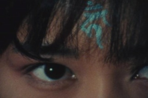 PDVD_036.jpg