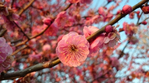 CYMERA_20170309_023436.jpg
