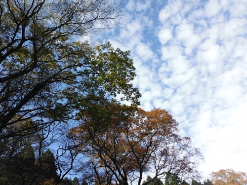 20131105_05.jpg
