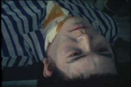 PDVD_173.jpg
