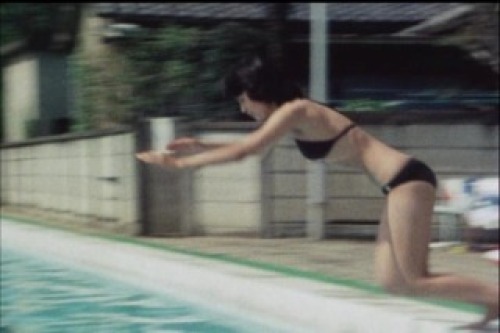 PDVD_011.jpg