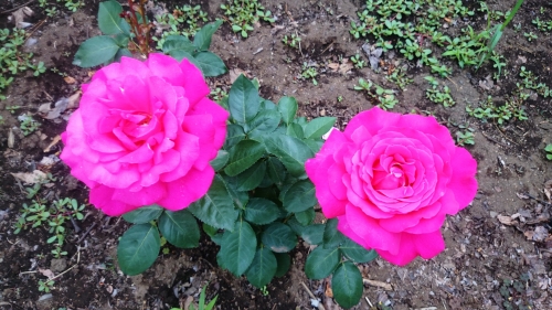 CYMERA_20160611_083916.jpg