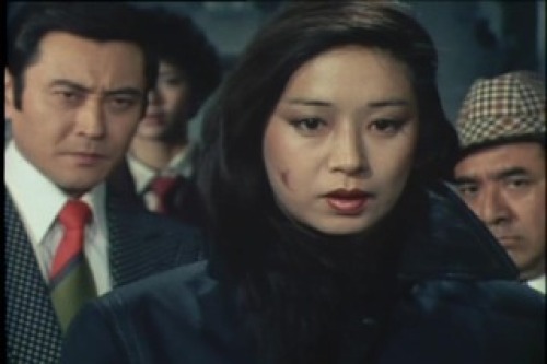 PDVD_166.jpg