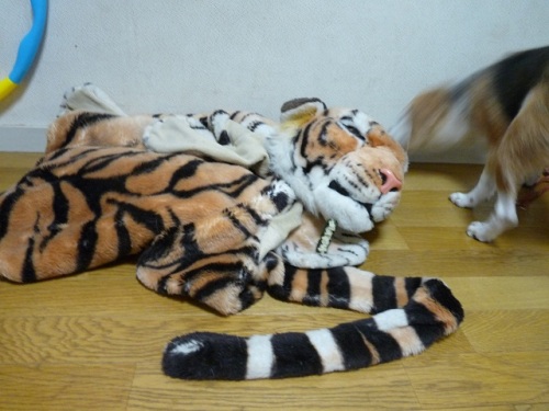 P1070885jp寅やつが来た.jpg