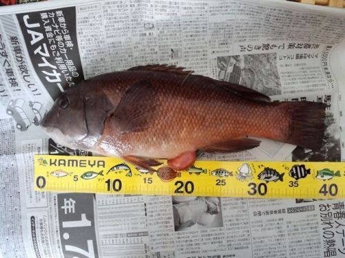 2013-3-2_R(V.2013_03_20__05_26_36).jpg