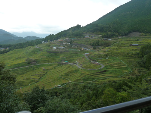 P1010452.JPG